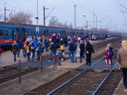 Családi hétvége a Fővárosi Nagycirkuszban